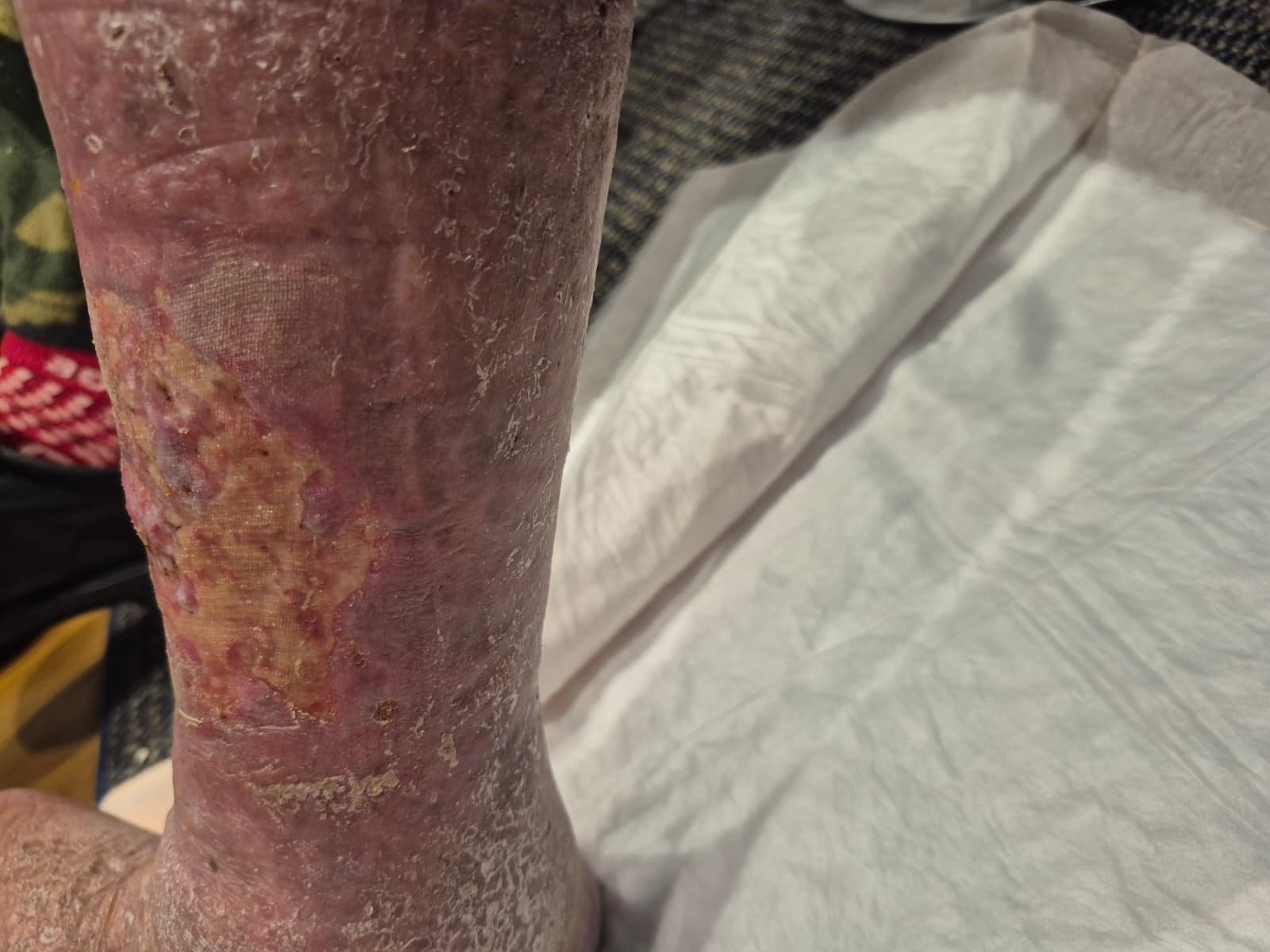 WhatsApp Image 2025-08-27 at 6.54.44 PM(6)