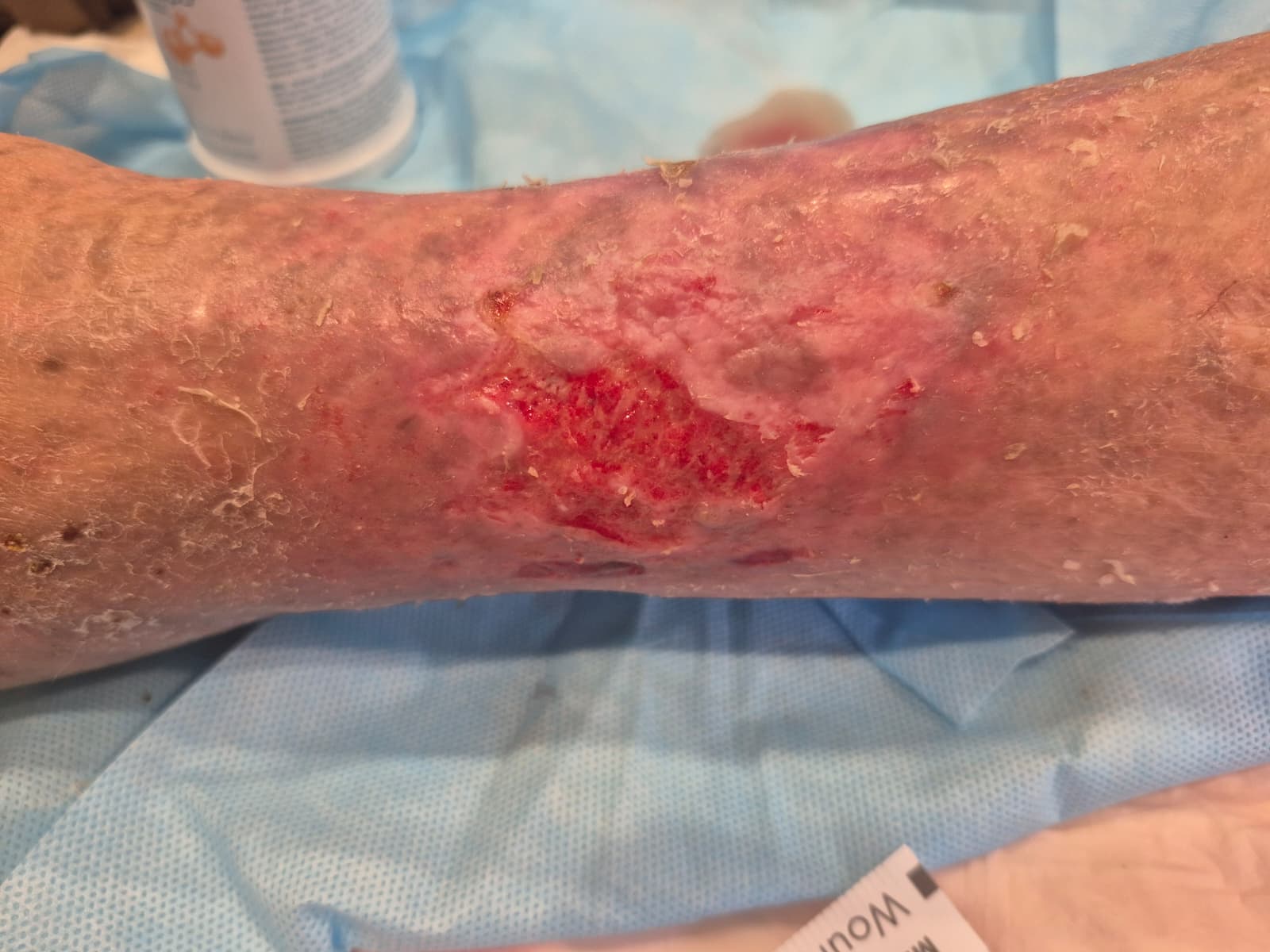 WhatsApp Image 2025-08-27 at 6.54.44 PM