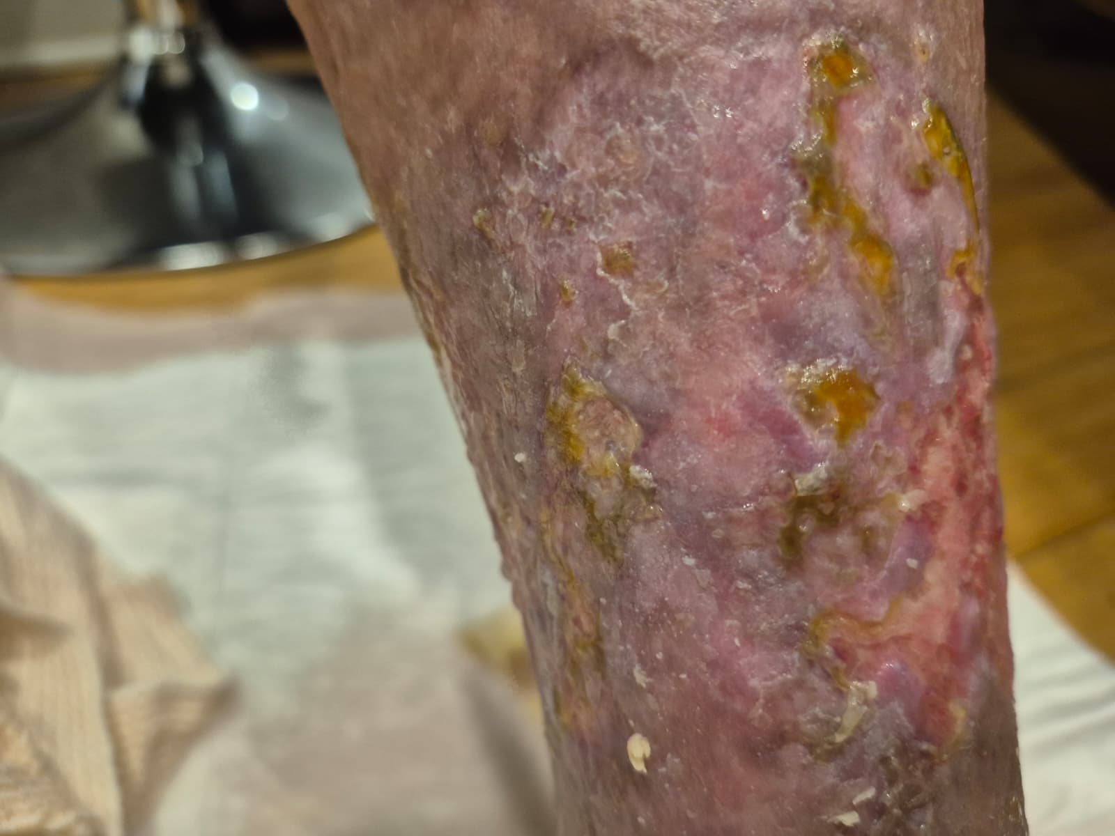 WhatsApp Image 2025-08-27 at 6.54.44 PM