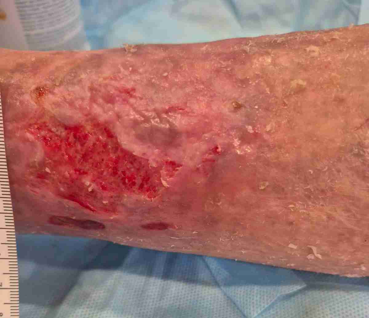 WhatsApp Image 2025-08-27 at 6.54.44 PM(2)-compressed